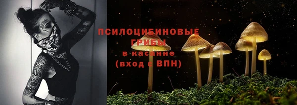 гашик Абаза