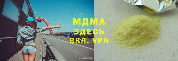 индика Гусев