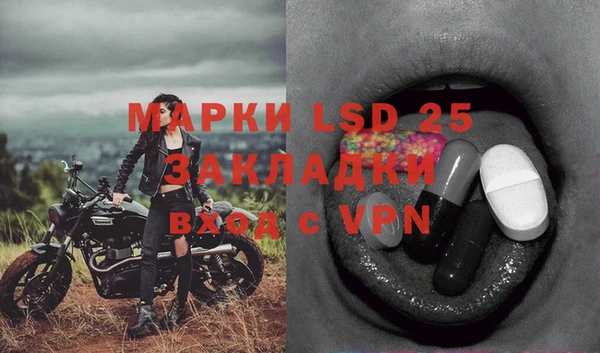 эйфоретик Абинск