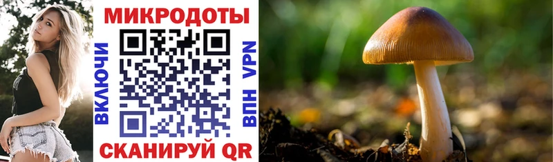 KRAKEN онион Никольск Галлюциногенные грибы мухоморы